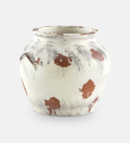 Teri Vase